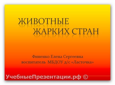 Животные жарких стран