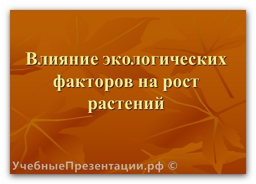 Влияние экологических факторов на рост растений