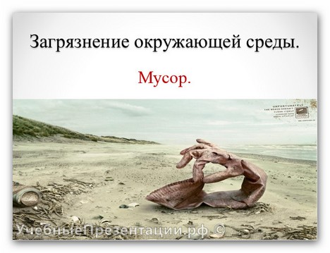 Загрязнение окружающей среды. Мусор